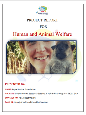 NGO Project Proposal